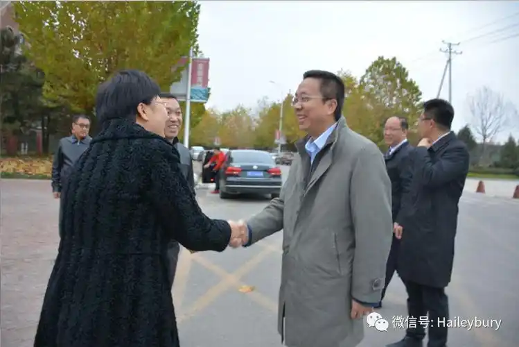 领导视察武清区区委常委常务副区长洪世聪先生等一行领导来我校视察