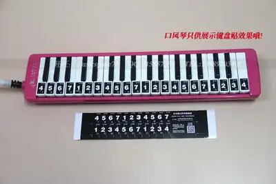 艾米丽口风琴键盘贴简谱贴纸适用37键32键27键适用天鹅奇美铃木