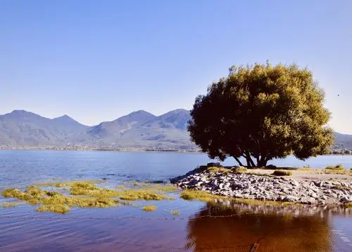 与湿地握手•和生态拥抱,丽江拉市海湿地公园之美 - 美篇