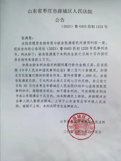 2023鲁0403民初1235号民事判决书被告张满意