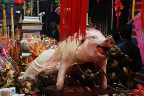 引用2007_03_12丁亥年农历正月廿四大老爷生(安济圣王圣诞)掠影