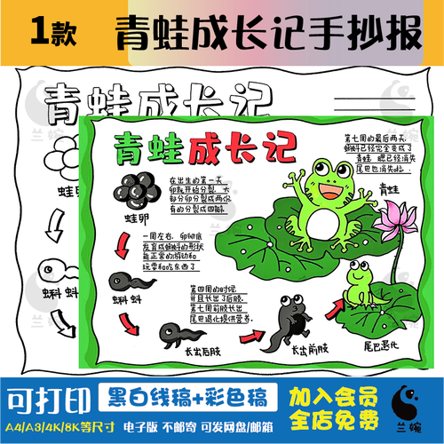 青蛙成长记手抄报模板小学生观察动物小蝌蚪成长记录日记黑白线稿