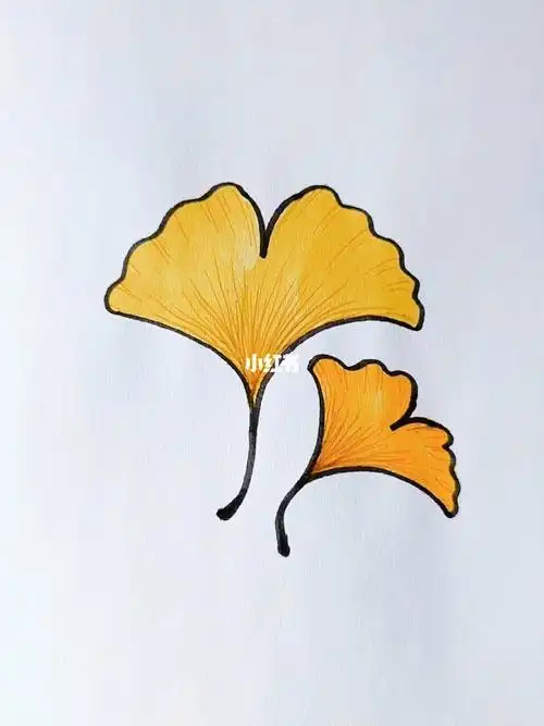 简笔画  #简笔画教程  #手绘  #零基础学画画  #手绘银杏叶  #秋天来