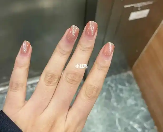 海底捞美甲透粉猫眼