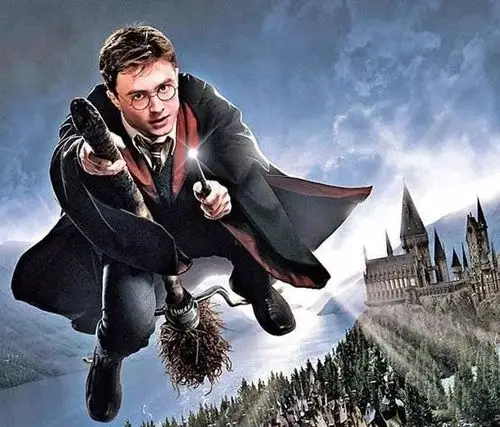 说起扫把,可能小可爱们第一个想到的会是哈利波特的飞天扫把.