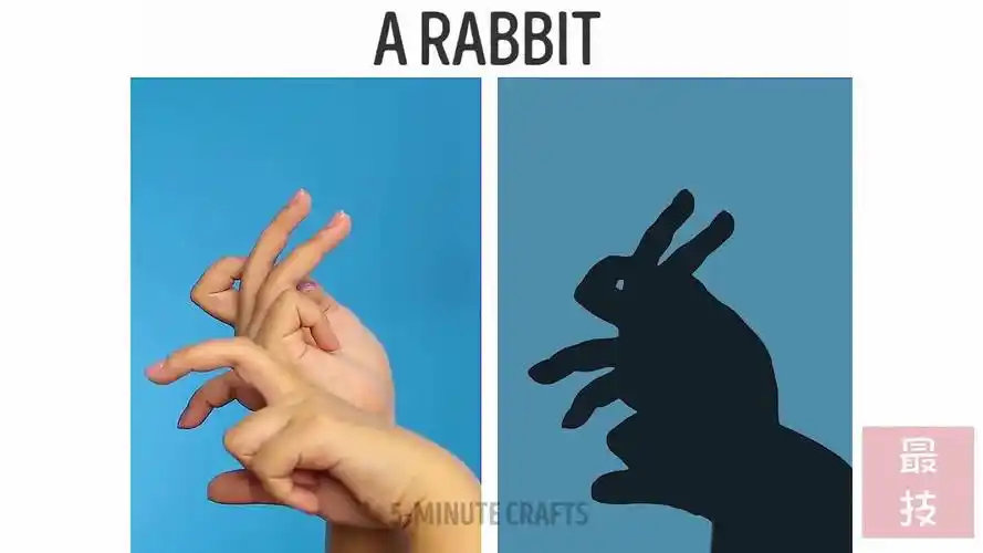 孩子必备手势影子动物,不学会就亏大了,家长赶紧看!