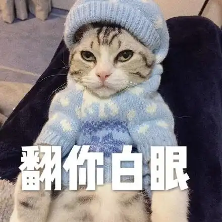 翻你白眼(猫咪)_猫咪_白眼表情