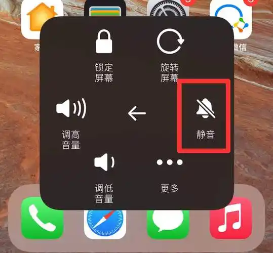 苹果静音模式 - 赛百科