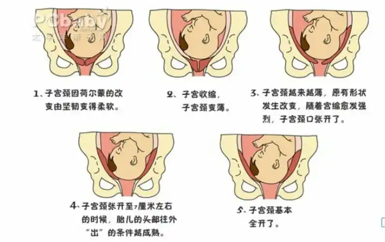 宝妈们到了产房或手术室到底都经历了什么呢?