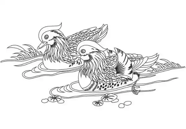 鸳鸯简笔画怎么画?