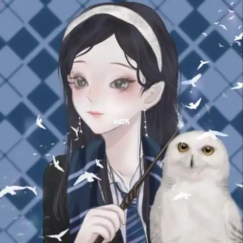 哈利波特游戏  #哈利波特  #霍格沃茨  #哈迷  #hp  #学姐