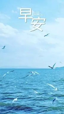21企业商用扬帆启航企业励志蓝天白云大海帆船蓝色海报早安你好