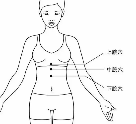 "三脘"是上脘,中脘,下脘的合称.