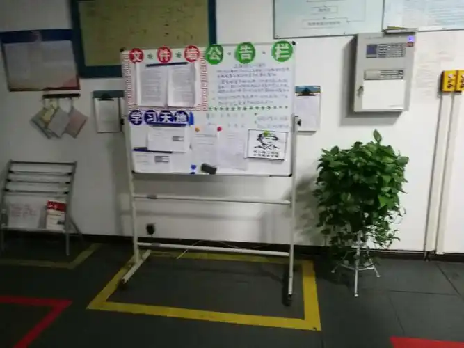 公告栏摆放规定位置