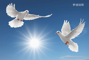 300_204gif 动态图 动图