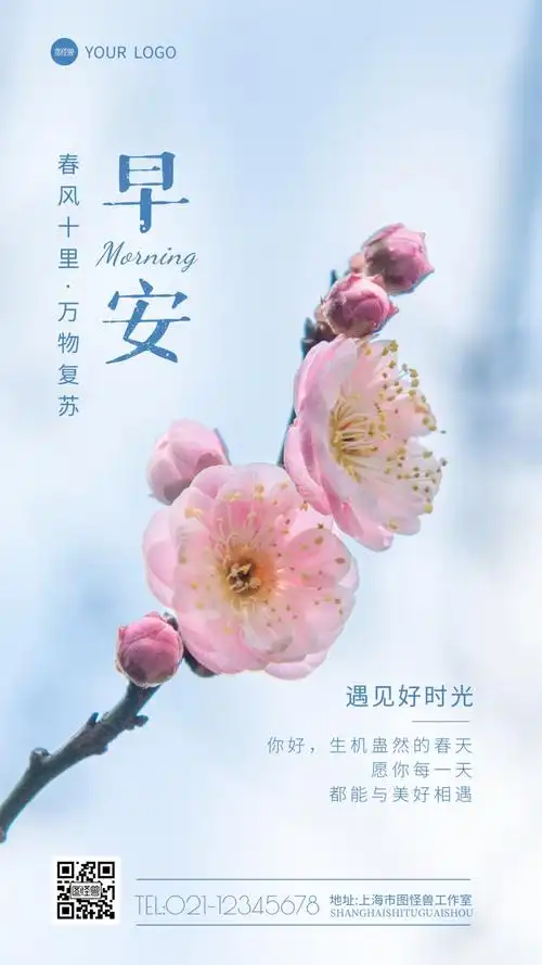 古风春天早安问候花朵摄影图海报