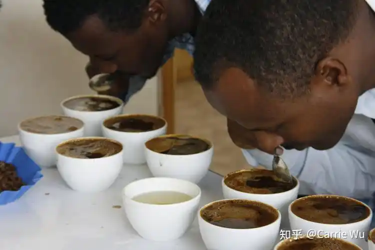 咖啡圈的杯测cupping测的是什么