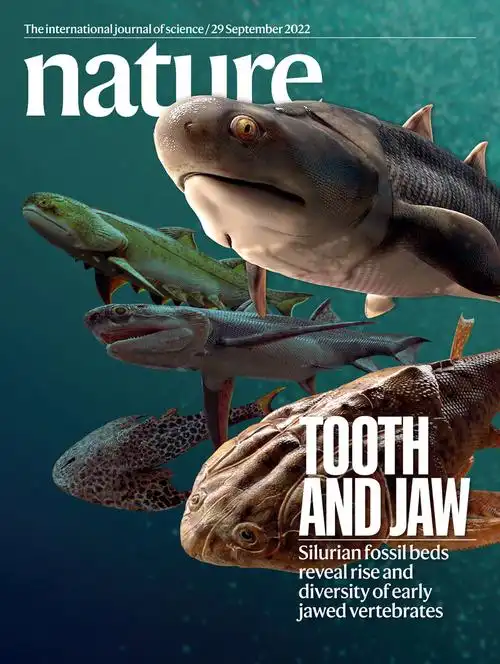 1 《nature》封面图  拟石科技制作s.jpg