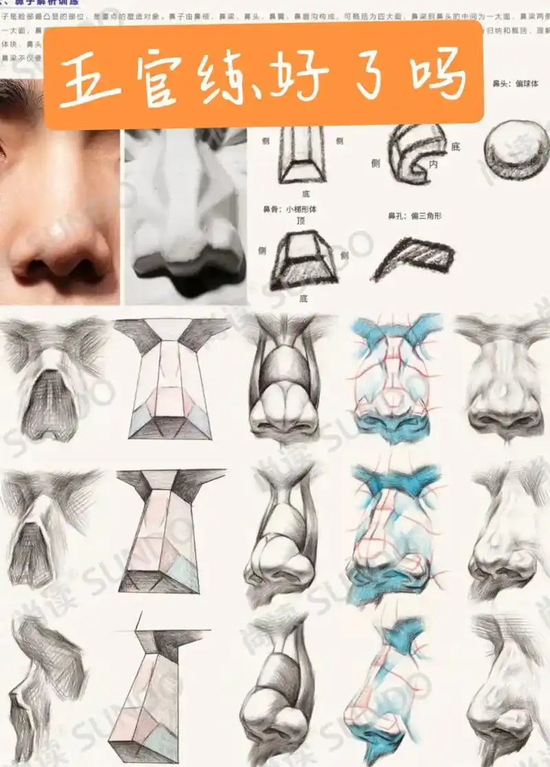 艺考加油站.五官教程#一起学画画 #2023届艺考生 #美术 - 抖音