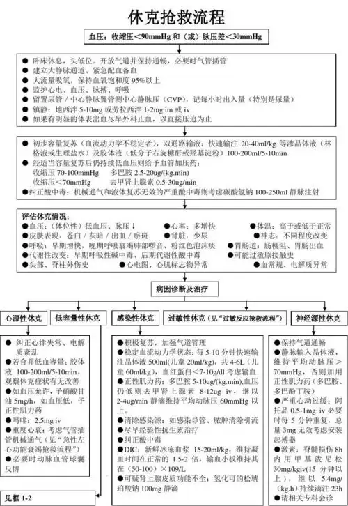 休克抢救流程