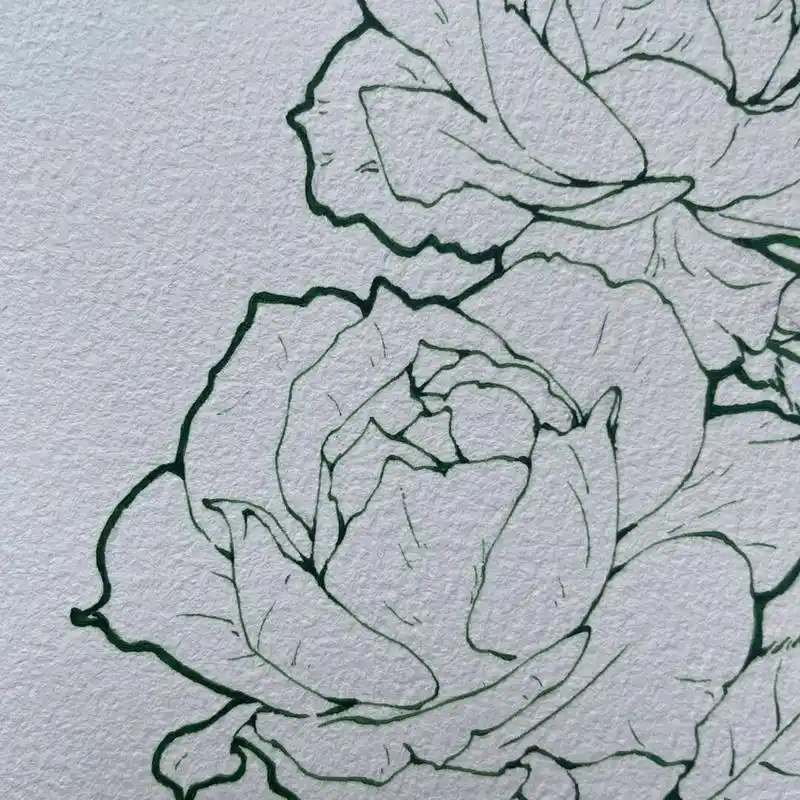 月季线稿～今日混更～ 这次没有上色图,入手了蘸水笔 一点也不适应 刮