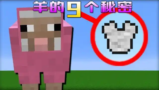 我的世界:羊的9个秘密,千万别让唤魔者碰到羊