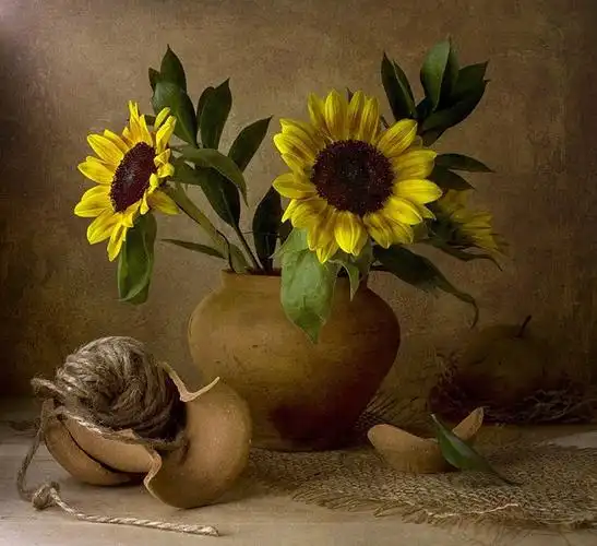 高龙的相册 - 静物摄影,可做油画素材
