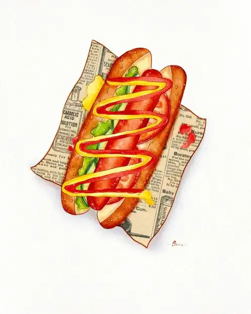 食物水彩procreate板绘热狗