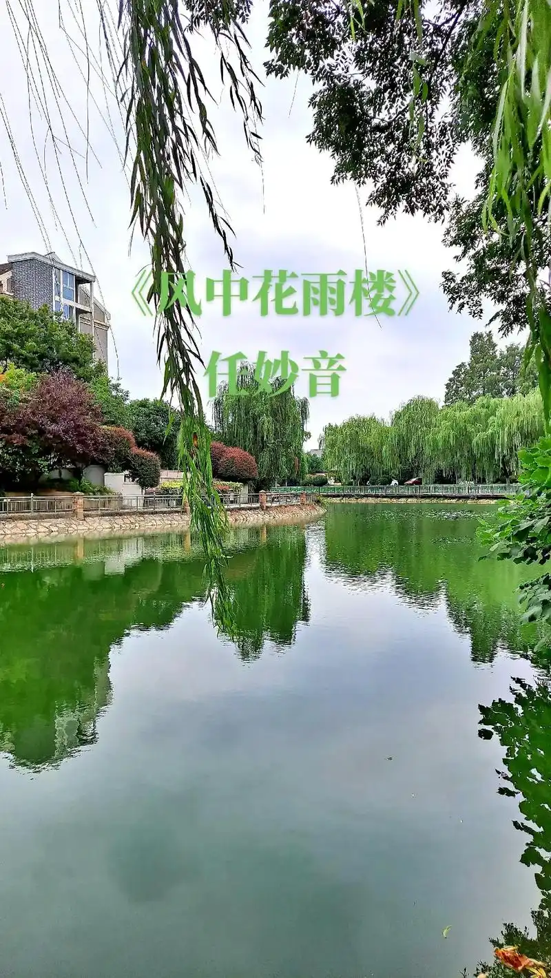 《风中花雨楼》#牵着你的手 许下个心愿 一生长相守#完整版 - 抖音