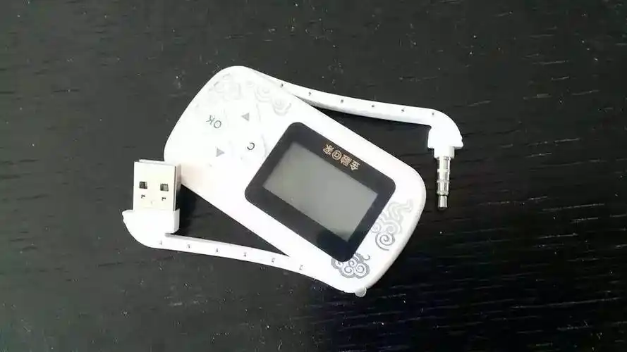 女子神秘兮兮拿着银行u盾去宾馆开房!幸亏被民警发现