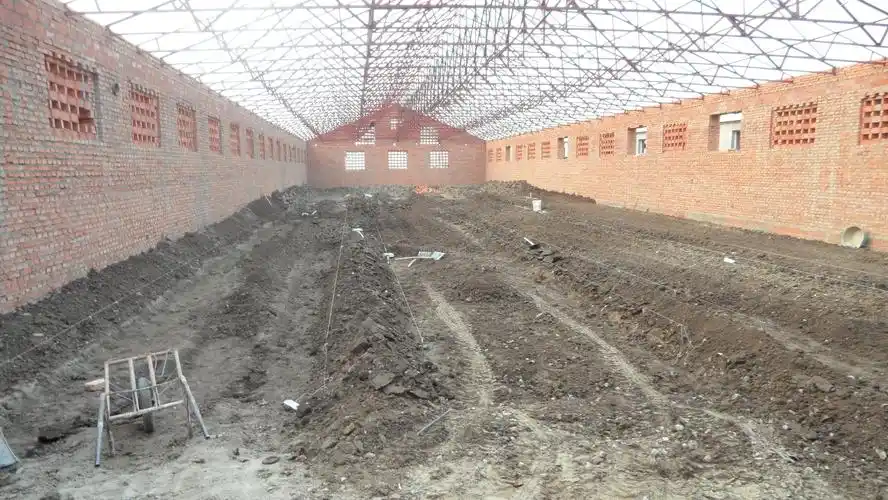 鸡舍建设中图片陆续上传