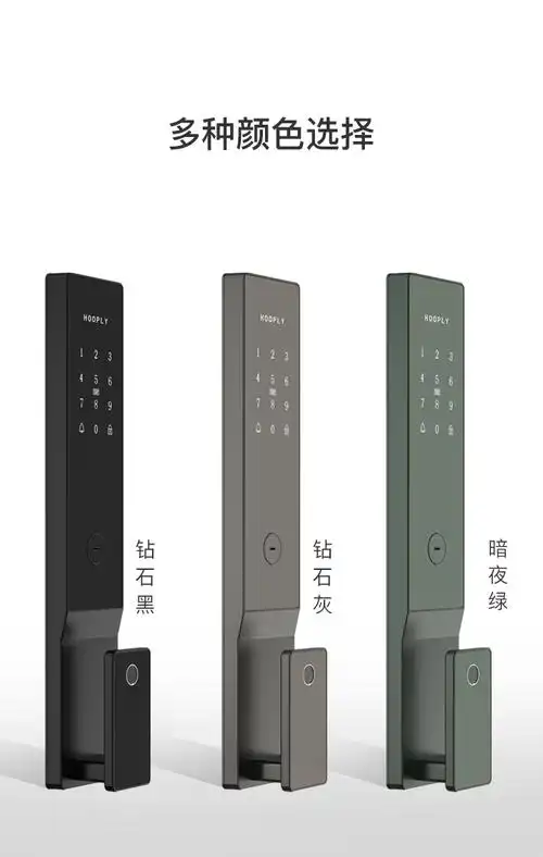 鸿利智能锁a31家用防盗门密码智能门锁