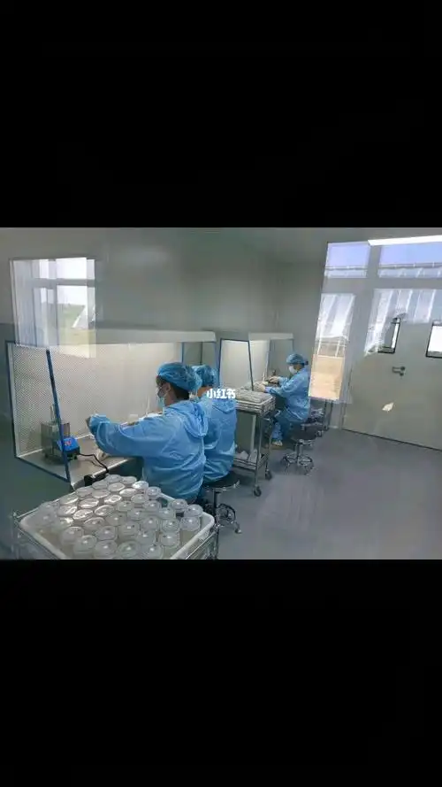 组培实验室组培苗植物快繁脱毒