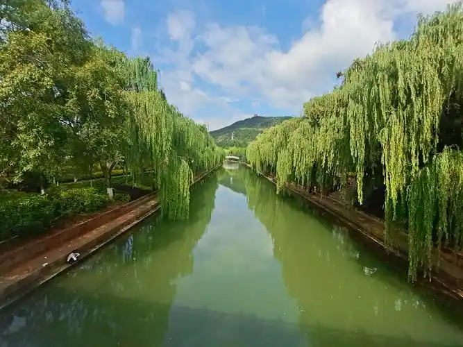 夏天河滨公园景色迷人