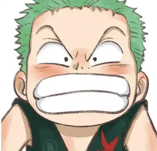 憨憨又可爱的小索隆动漫头像