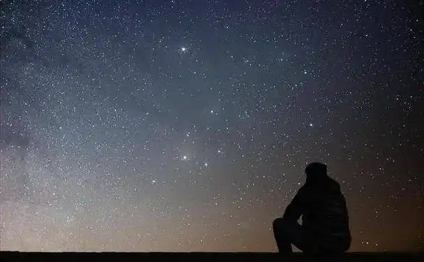 《迷失于爱的旋律》悠扬的旋律轻轻飘荡在寂静的夜空中_爱情_chorus