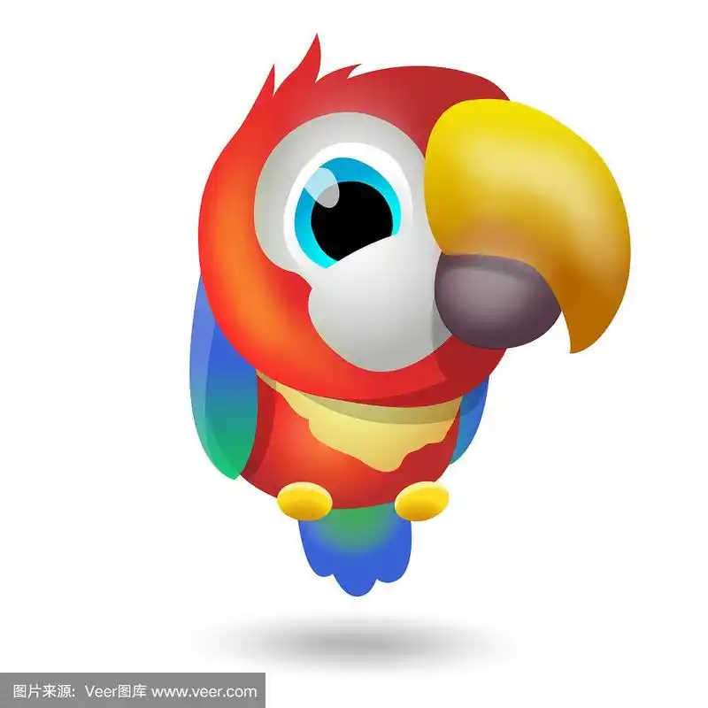 鹦鹉,彩色图片,分离着色,可爱的,白色背景