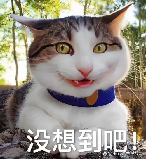 包图片舒坦表情包理所当然表情包直蒙愣眼图片表情包答案是什么表情包