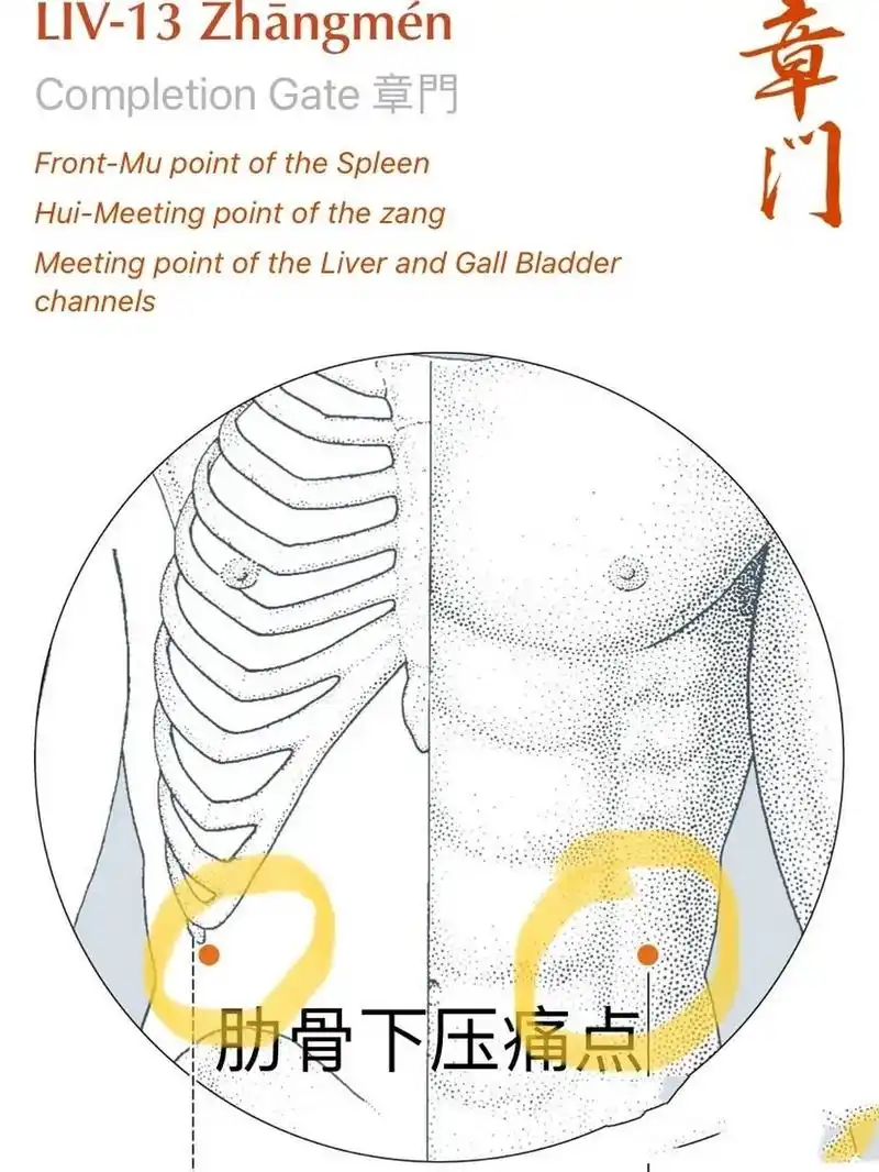 孕晚期突然右侧肋骨下方酸疼是这么回事? 这是哪里?不是胆囊炎吧?