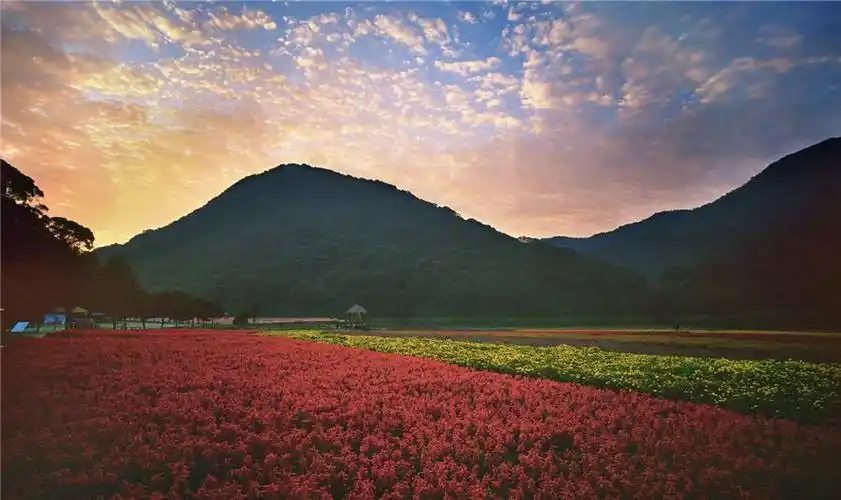 石门国家森林公园入选森林体验国家重点建设基地名单-新闻资讯-广州市