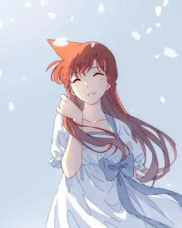 盘点《名侦探柯南》毛利兰的六套服装,婚纱装唯美,最后一套迷人_网易