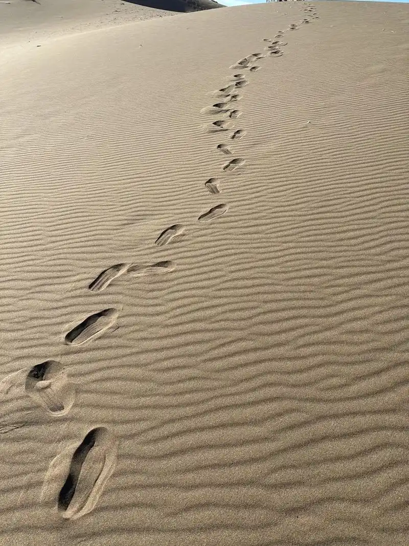 一步一脚印,一沙一世界一生总要来一趟沙漠吧9815 满足对沙 - 抖