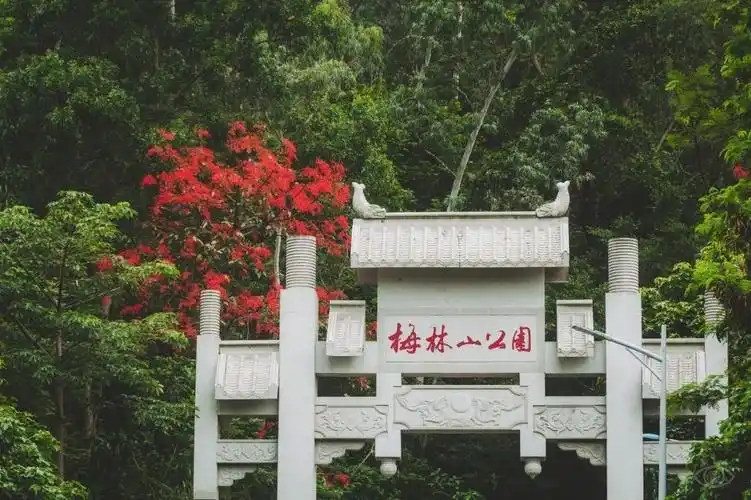 梅林山公园,这里山路蜿蜒陡峭,有着原生态的登山路道,山中植被茂密