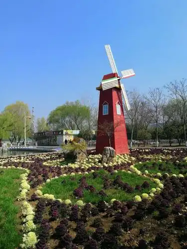 安徽阜阳生态园,春游