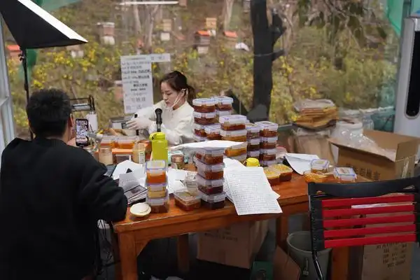 户外直播菜鸟成长记吃住在山里日常被蜜蜂袭击小目标是在线人数过千