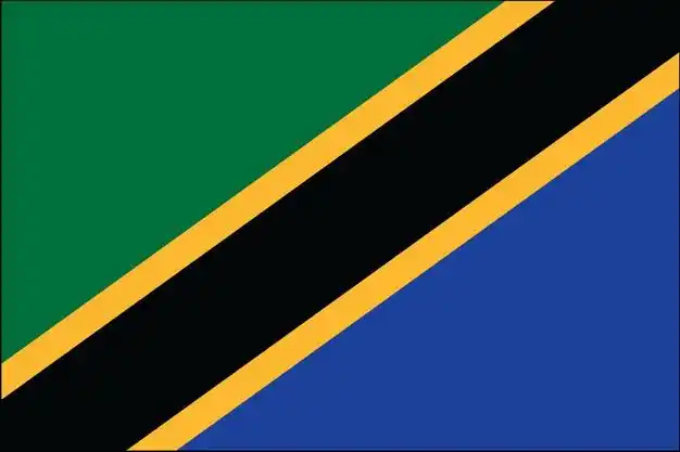 标准版坦桑尼亚国旗图片素材