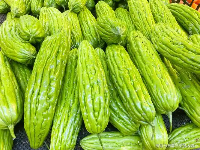 盛夏时期,少吃黄瓜和西瓜,多吃"夏季第一瓜"!清热解暑又降脂_苦瓜_时