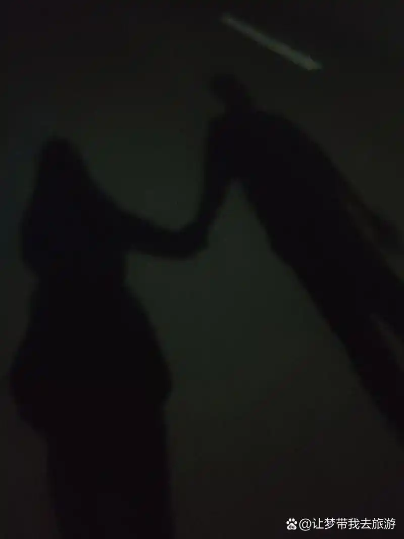 情侣照怎么拍# 夜色中牵手,我们的影子是最好的证明.