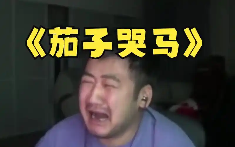 茄子哭马梗出自哪里?跟老公骂我谁更强?