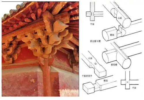 角梁是方的,椽尾圆径(有双层时上层是方的,角梁双层时仍全是方的).